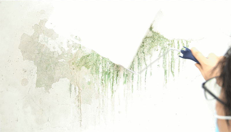 中国·美高梅4688集团am(股份)有限公司-官方网站